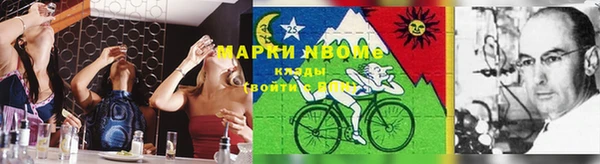 ПСИЛОЦИБИНОВЫЕ ГРИБЫ Инта