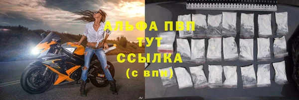 мяу мяу мука Инсар