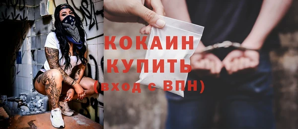 мяу мяу мука Инсар