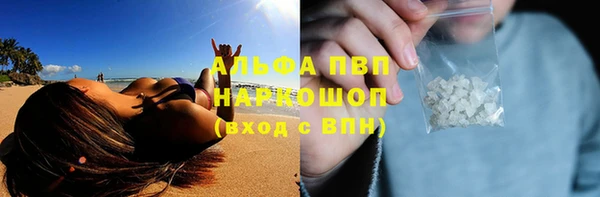 мяу мяу мука Инсар