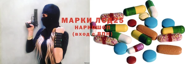 мяу мяу мука Инсар