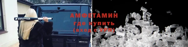ПСИЛОЦИБИНОВЫЕ ГРИБЫ Инта