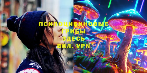 мяу мяу мука Инсар