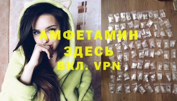 ПСИЛОЦИБИНОВЫЕ ГРИБЫ Инта