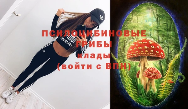 мяу мяу мука Инсар