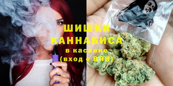 ПСИЛОЦИБИНОВЫЕ ГРИБЫ Инта