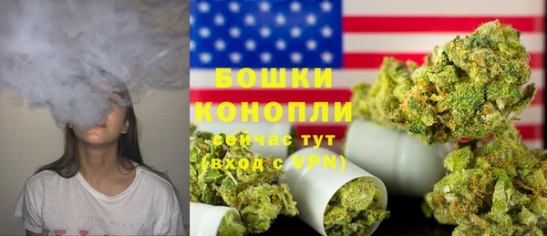 ПСИЛОЦИБИНОВЫЕ ГРИБЫ Инта