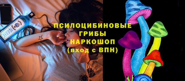 мяу мяу мука Инсар