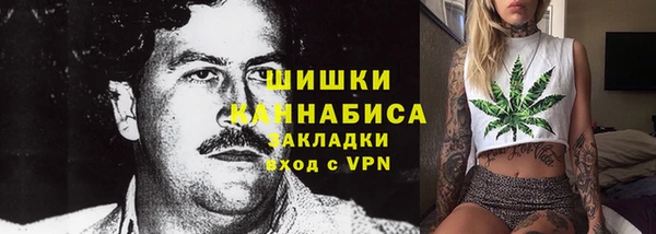 мяу мяу мука Инсар