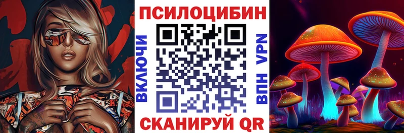 Галлюциногенные грибы Psilocybine cubensis Арзамас